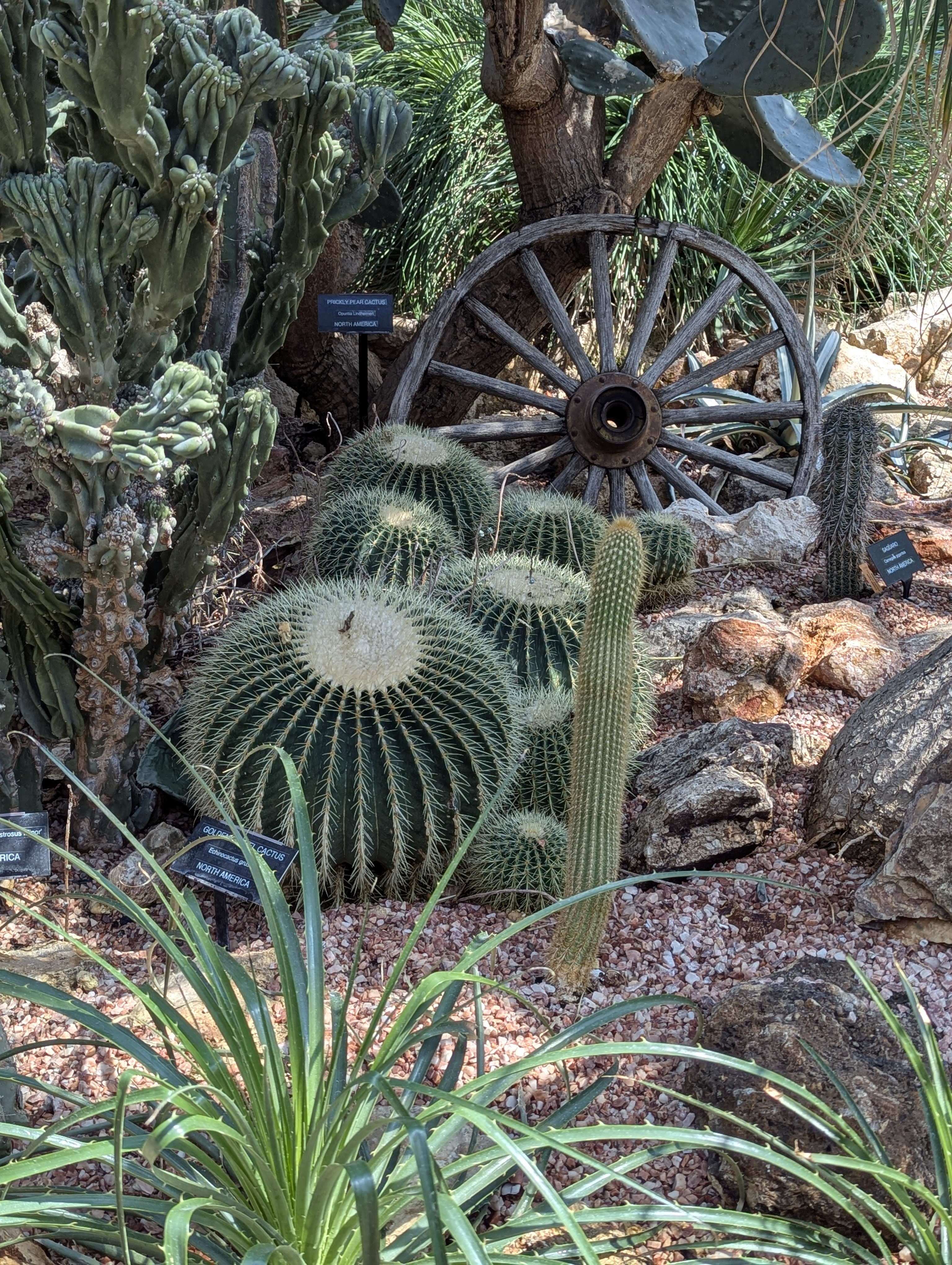 Birthday Trip to Canada, Edmonton, Pyramids, Muttart Observatory